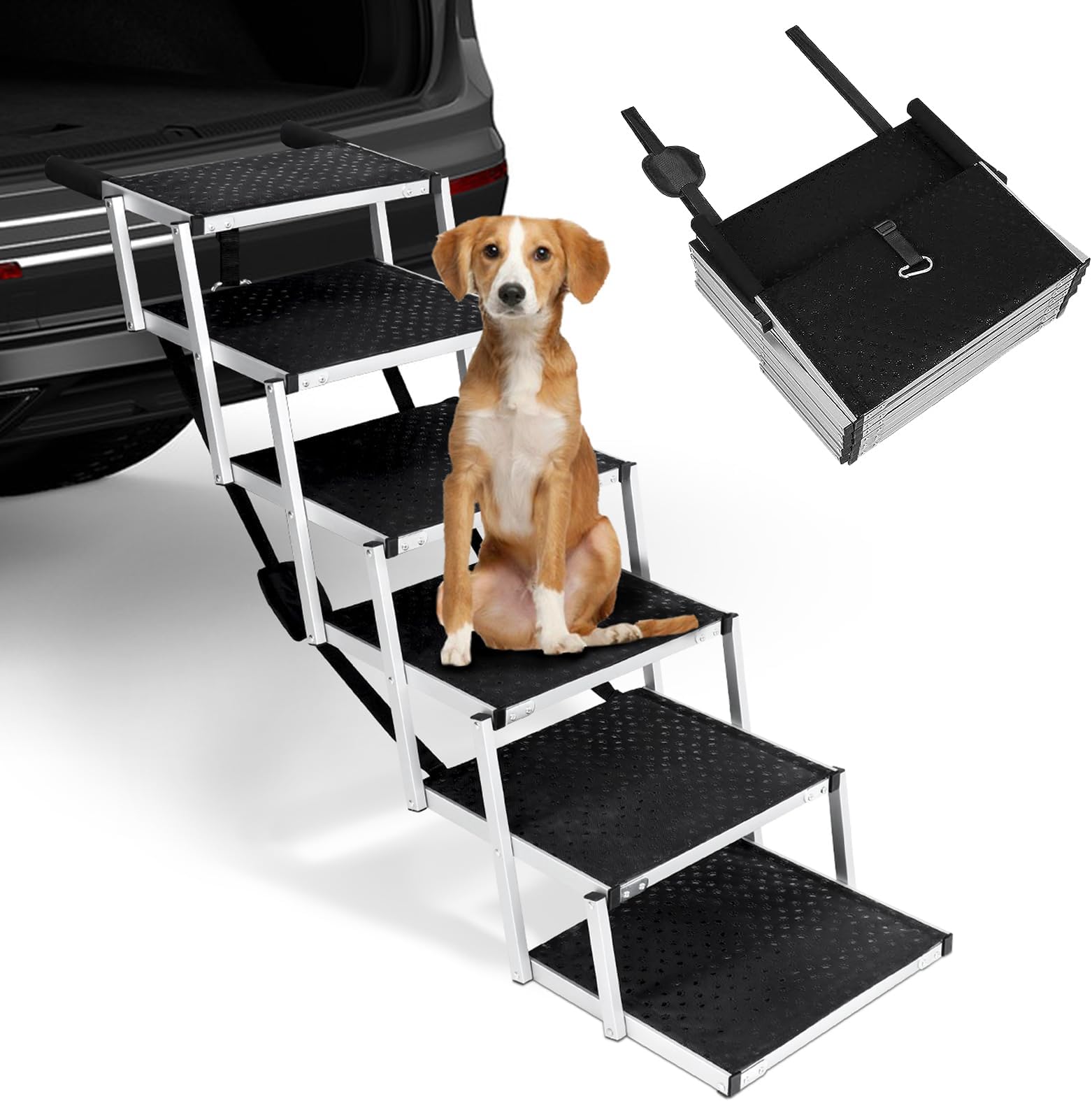 Rampe Auto Hund