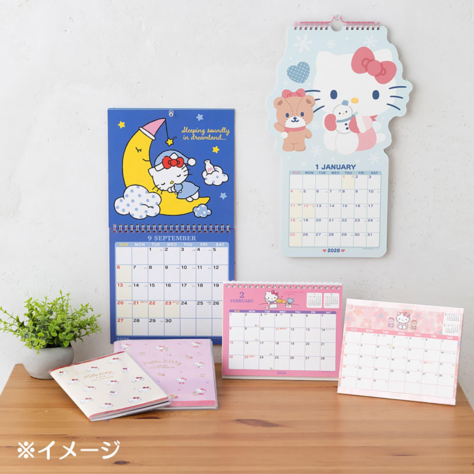 Amazon.co.jp: sanrio: 手帳カレンダー2025