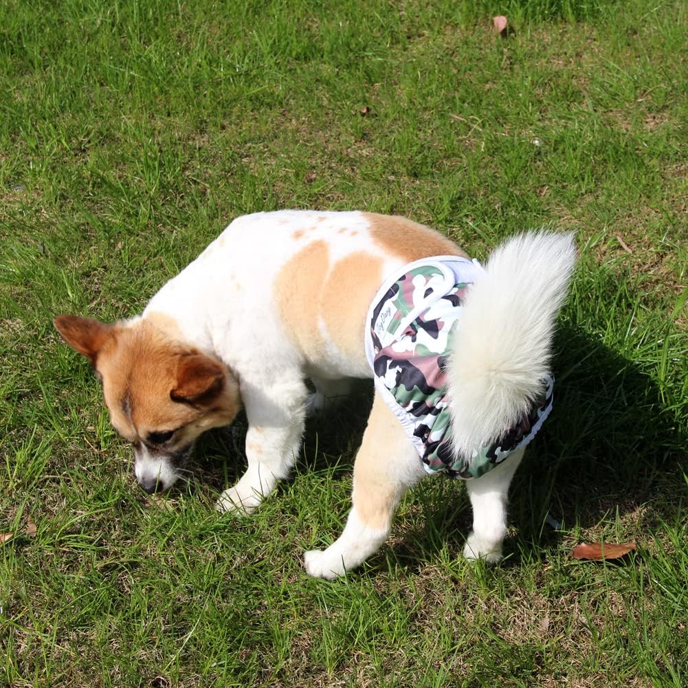 JoyDaog Dog Diapers for Female Small Dogs 3 Pack Reusable Premium Puppy