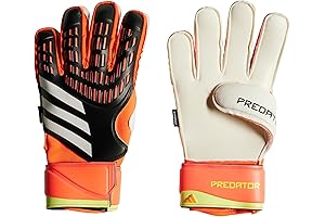 Master Goalie Gloves for Unmatched Protection and Ball Control