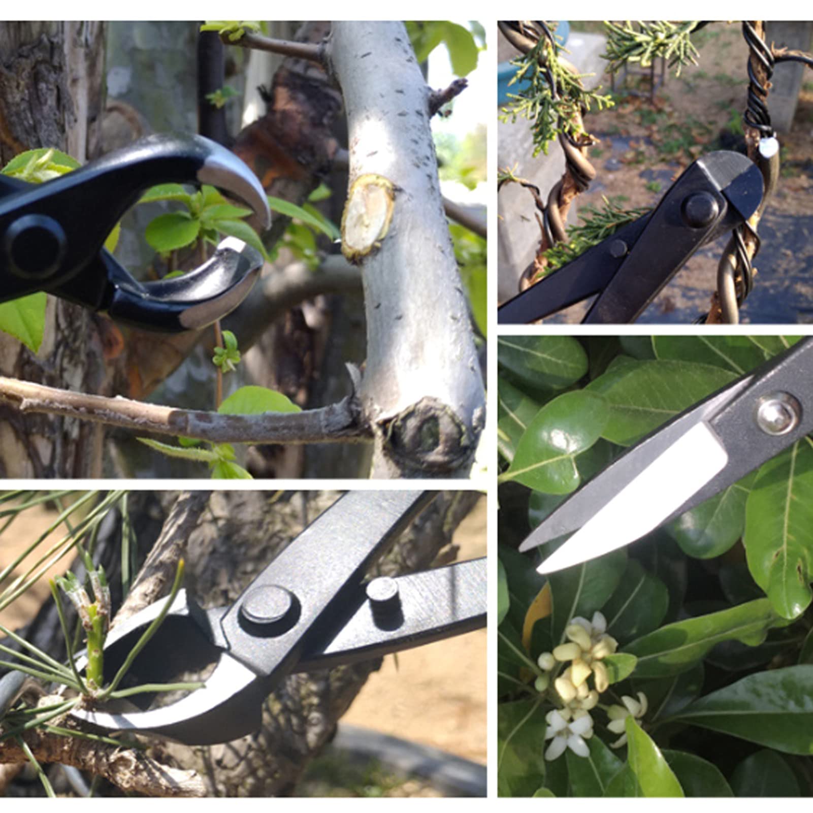 Juego de Herramientas para bonsái, Kit de Recorte de jardín de 6 Piezas de Grado Profesional con Bolsa de Almacenamiento para entusiastas y jardineros del bonsái, aleación de