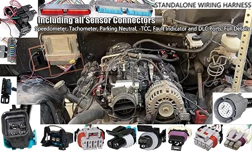 Miniatura 5 de LS Arnés de cableado Drive por Cable 5.3, ls Arnés de cableado independiente 4L60E DBC, para 1997-2006 LS1 4.8L 5.3L 6.0L, EV1 - Enchufe de jeringa