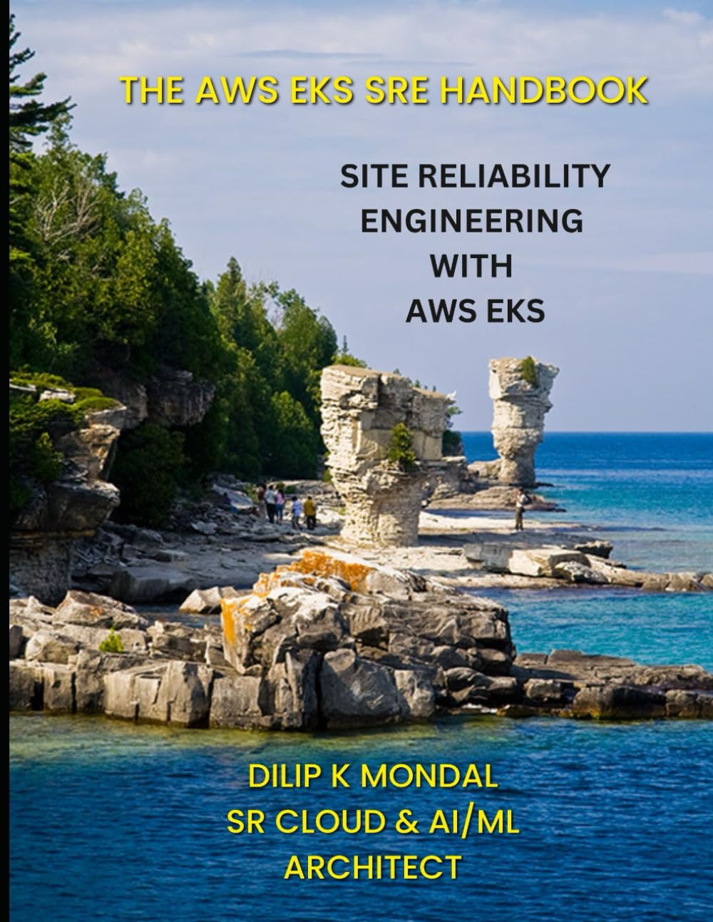 The AWS EKS SRE Handbook: The Cloud SRE’s Guide to AWS EKS (SRE & DevOps Essentials)
