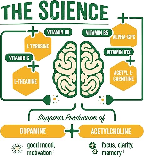 Miniatura 3 de BrainJuice Disparo de apoyo cerebral, suplemento sin gluten para energía y concentración, bebidas saludables con Alpha GPC, vitamina B y extracto de