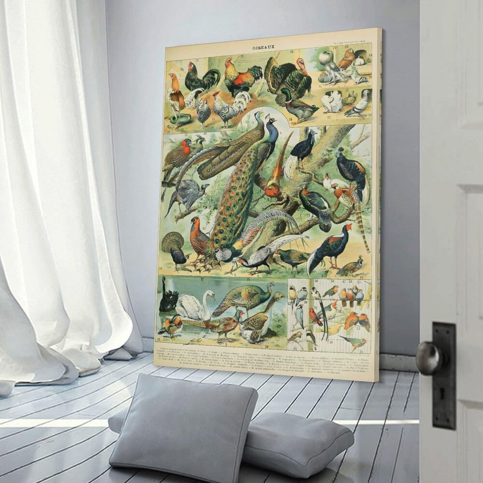 Junmoney Room Decor Wall Art Birds by Adolphe Millot, 20x30inch(50x75cm), for Home Office, Desk Area Or Studio, An Interior Accent for Desk Areas