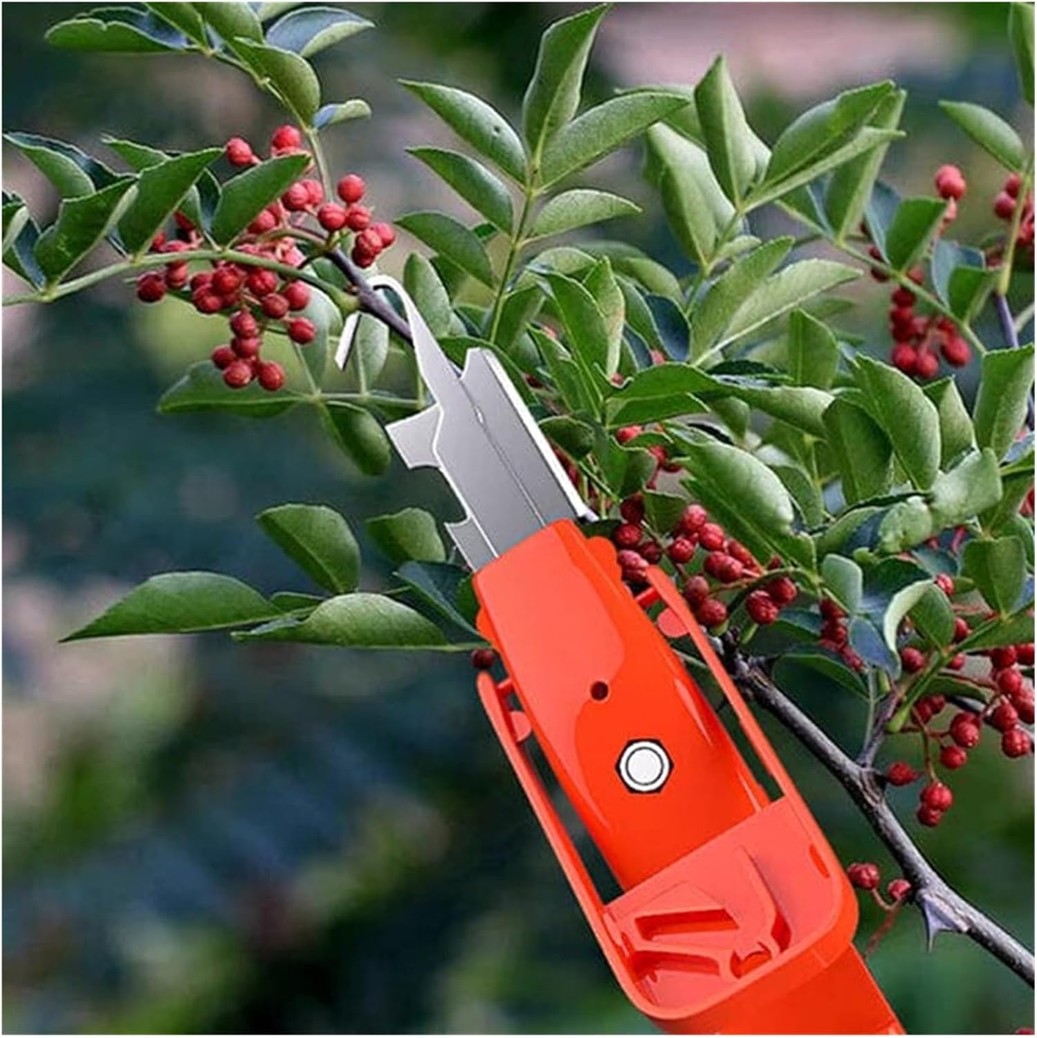 Birud Pepper Picker Pruning Shears Knife, One Knife Multi-purpose Tree Construction Gardening Tools Pepper Collector Handheld Fruit Vegetables Picking Tool for Twig Pruning Cutter, Bottle Opener (B0CPCLGB3P) Amazon Price History, Amazon Price Tracker
