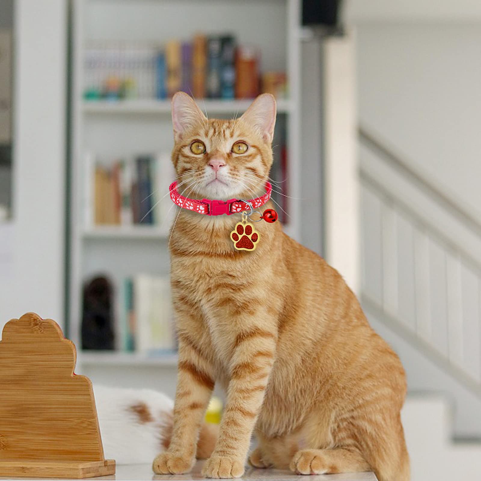 Sicherheitshalsband Katze 2er Set Katzenhalsbänder Produktbild-Vorschau 5