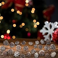Vista 7 de 200 minipiñas de pino de nieve, piñas naturales de Navidad con pintura blanca a granel para fiestas en casa, manualidades, regalo, boda, árbol