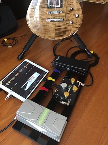 Amazon | Nektar Technology NX-P 国内正規品 | 補助ペダル | 楽器