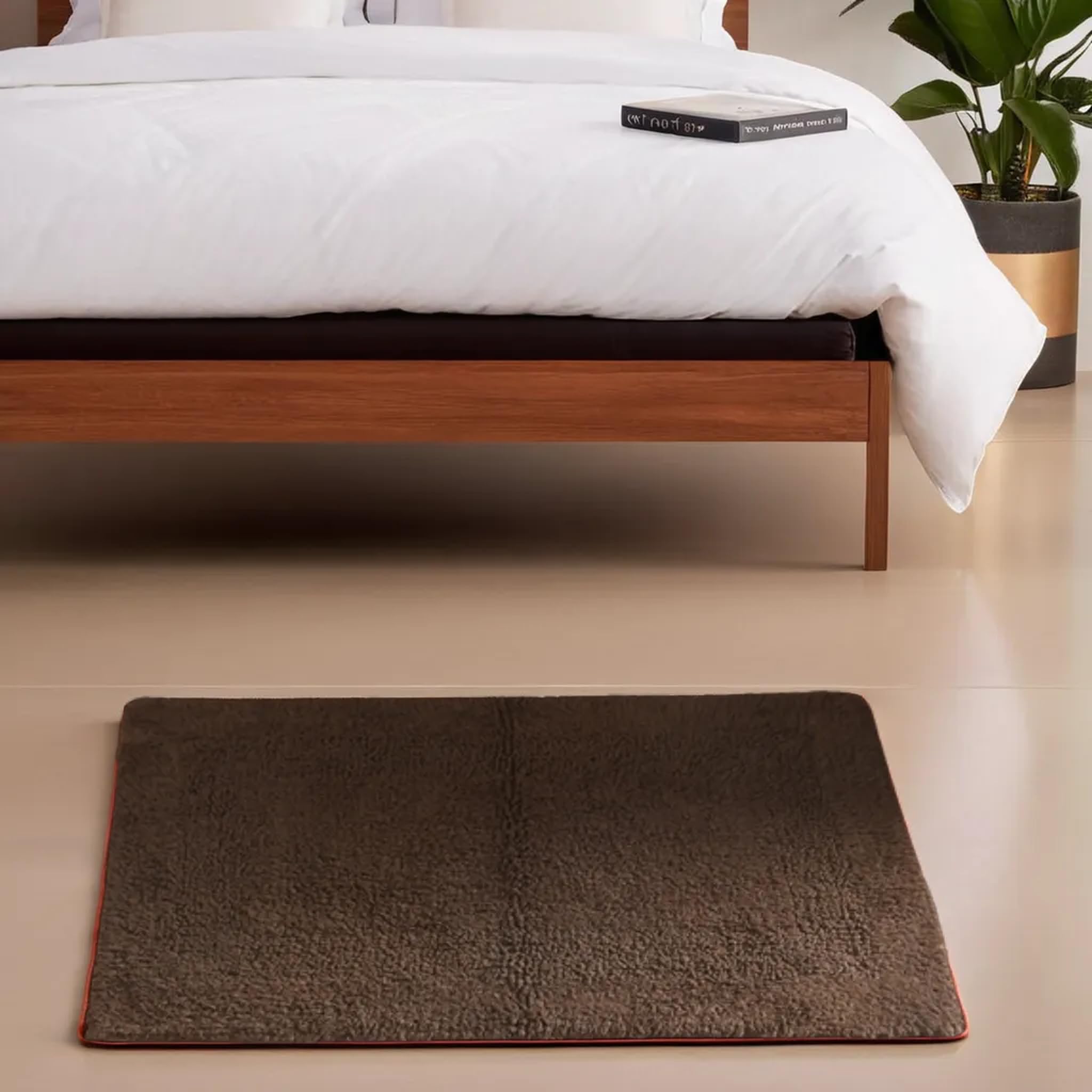 Democracy Homes Door Mats for Home Entrance, Anti-Skid Floor Mat for Living Room, Super Absorbent Mats with Machine Washable, 40 X 60 cm, Brown (B08LVKPT2D) Amazon Price History, Amazon Price Tracker