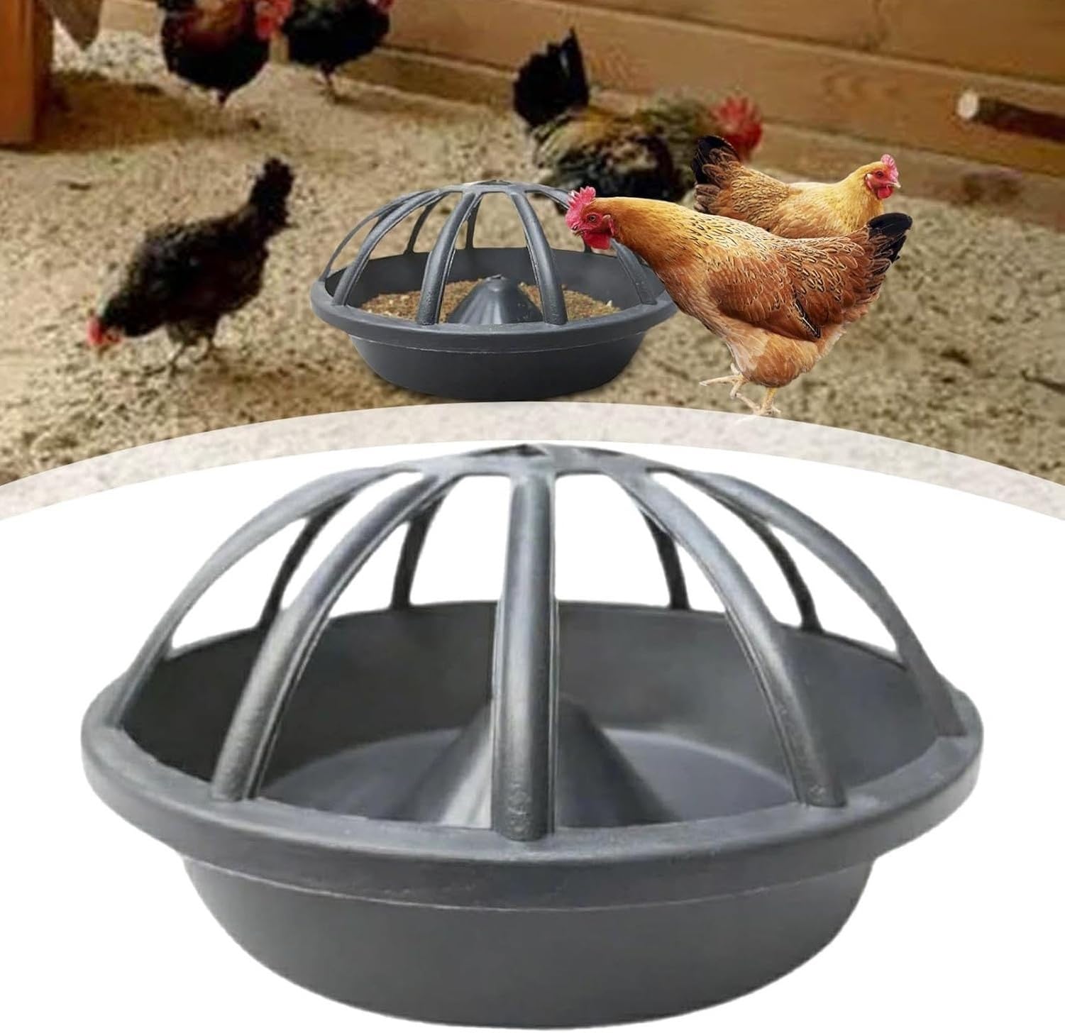 Mangiatoia Portatile per Polli Anatre Oche Uccelli da, 12 fori, 12 fori