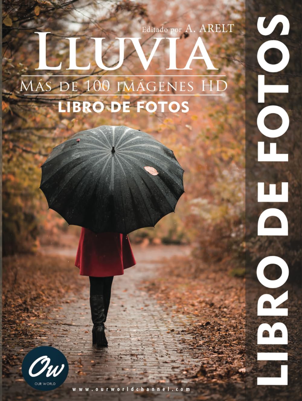 Lluvia libro de fotos pour embellir votre salon et s'évader les jours de pluie
