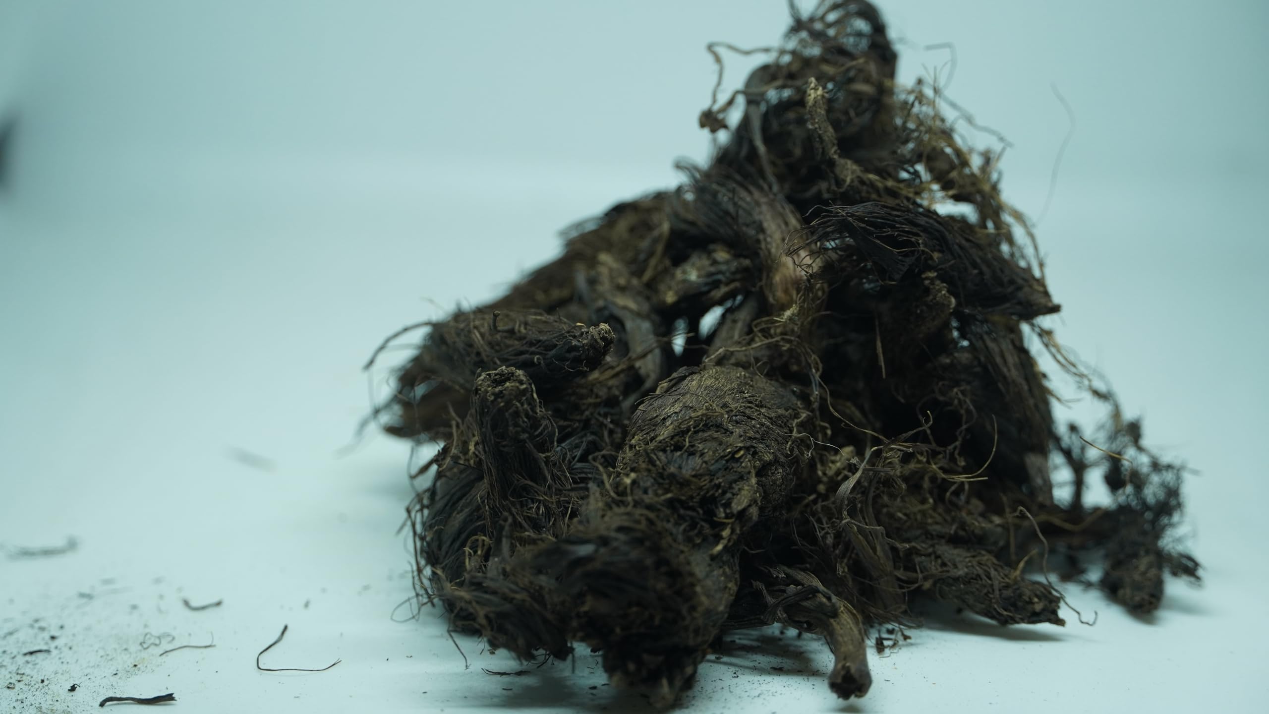 THOGAI’S -”JADAMANJI”- Jatamansi/Tapaswani/Bhytajata/Indian spikenard/Musk-root/Indian nard/Nard Indian/Balchara/Jatamavshi/Jatamamsi/Bhutijata/Billilotan (100 GRAMS (PCK OF 1))