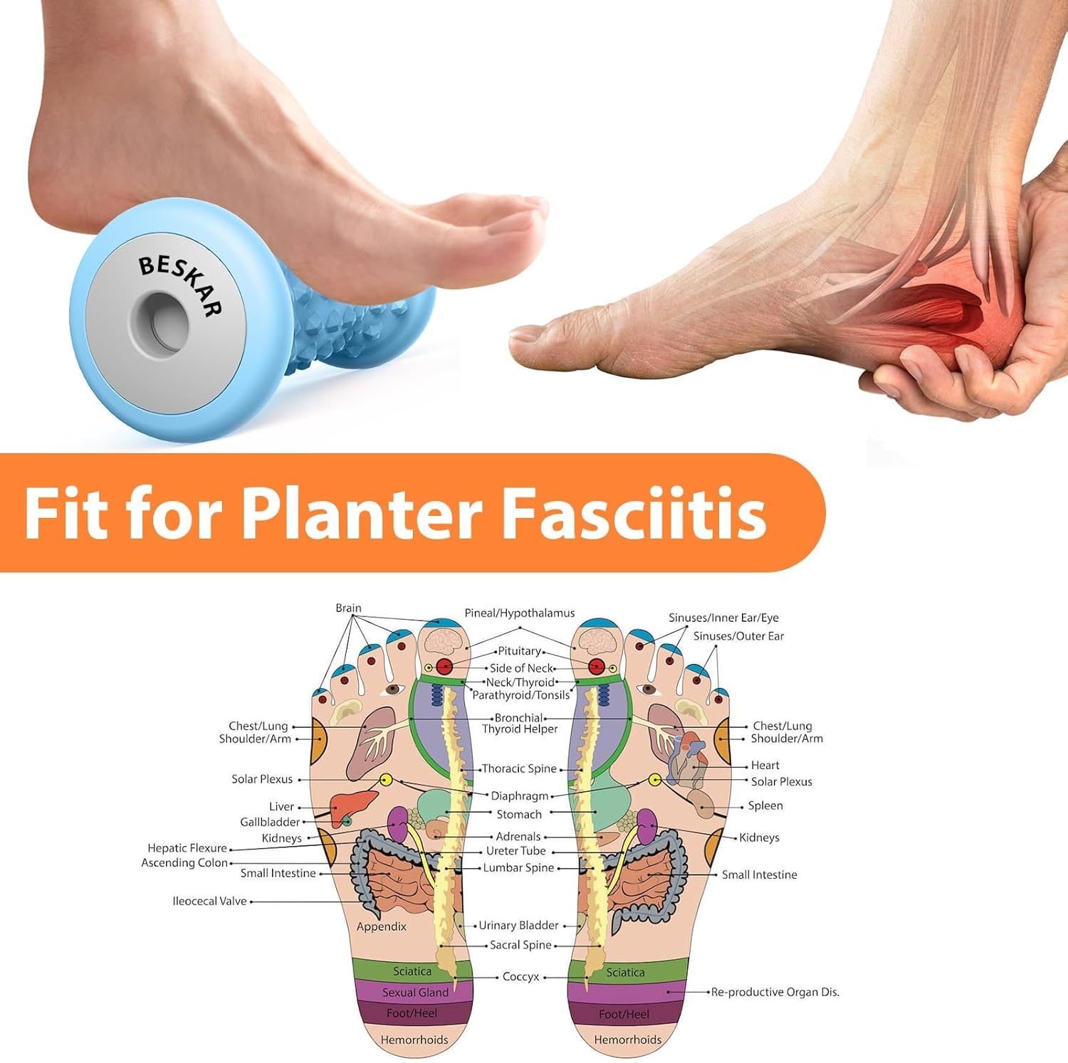 BESKAR Foot Massager Roller for Plantar Fasciitis Relief, Portable Feet Roller to Deep Tissue Muscle Massage, Foot Arch and Heel Pain, Reflexology Tool - Image 3