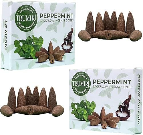 Conos de incienso de reflujo de menta  Total de 20 conos de incienso en cascada  Paquete doble de 10 conos de incienso de reflujo  Conos de incienso disponible en Yaxa Costa Rica