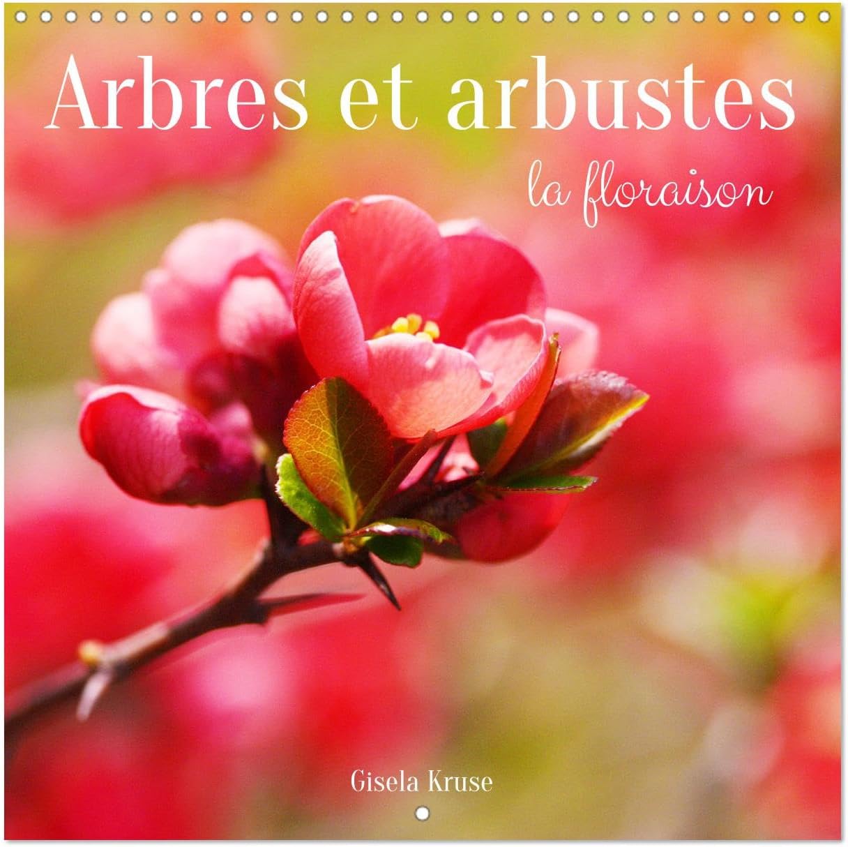 Arbres et arbustes la floraison (Calendrier mural carré 2024 30 x 30 cm Arbres et arbustes la floraison (Calendrier mural carré 2024 30 x 30 cm