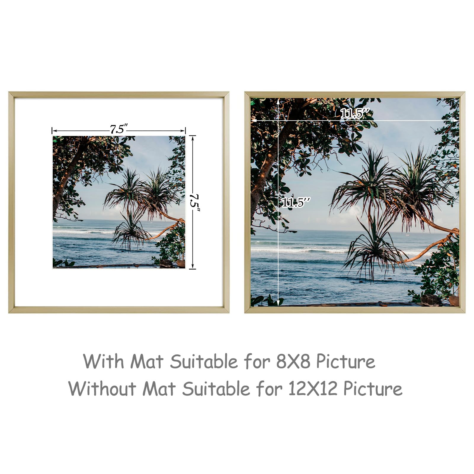 Amazon.co.jp: Golden State Art 12x12 フォトフレーム ゴールド