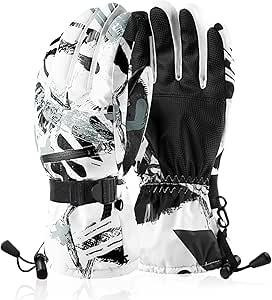 スキーグローブ...