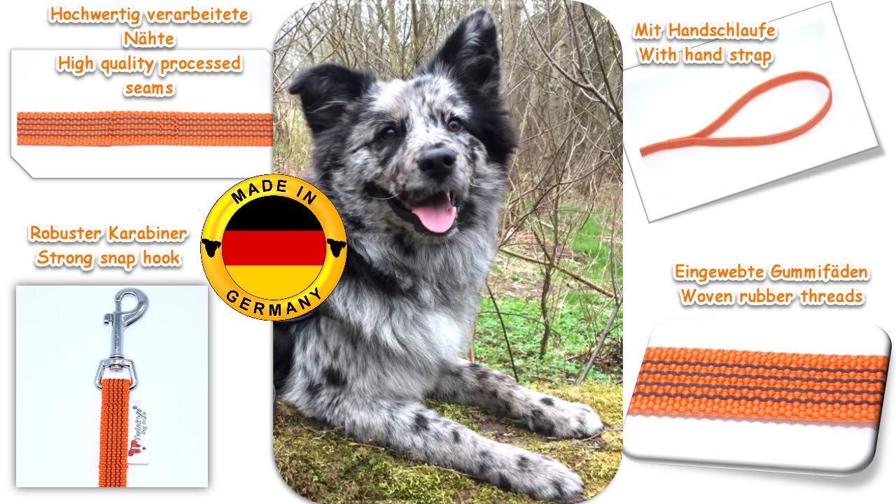 Dog Style Schleppleine Hund – Orange 30 Meter 20 mm – gummierte Trainingsleine mit Handschlaufe – rutschfest, strapazierfähig & wetterfest – ideal für Rückruftraining, Freilauf & Hundesport