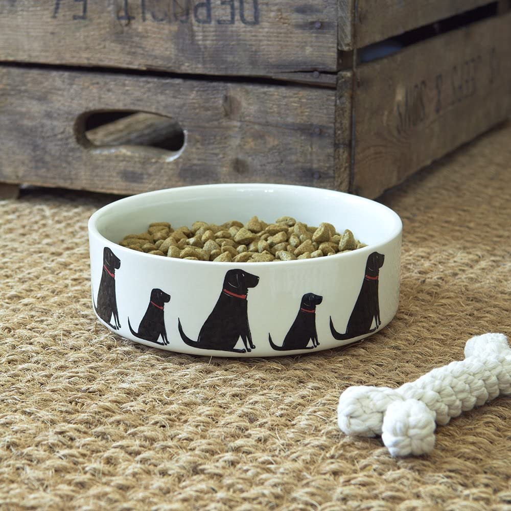 Grand Bol de Chien Labrador Noir