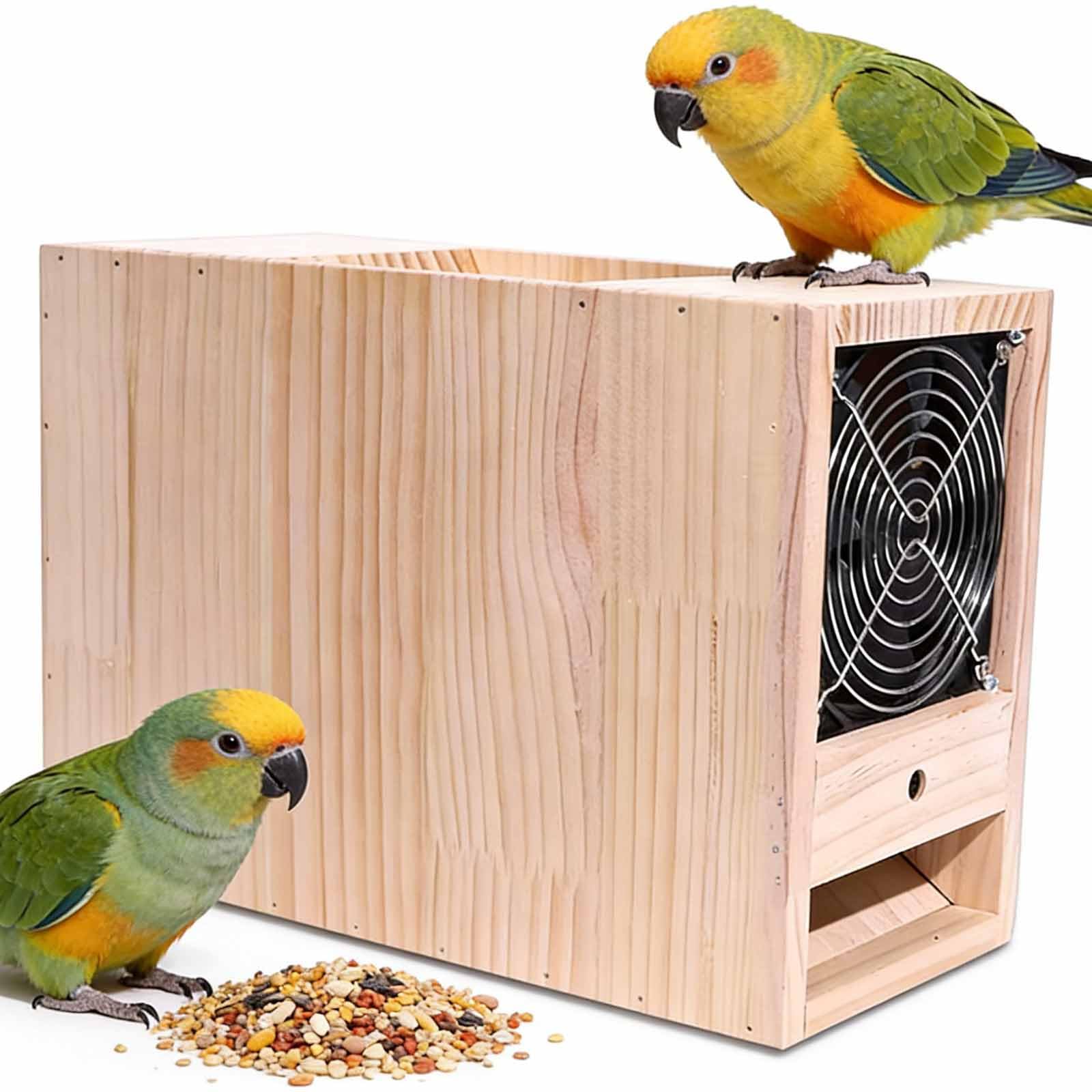 Séparateur de grains en bois massif soufflé pour oiseaux avec vitesse réglable