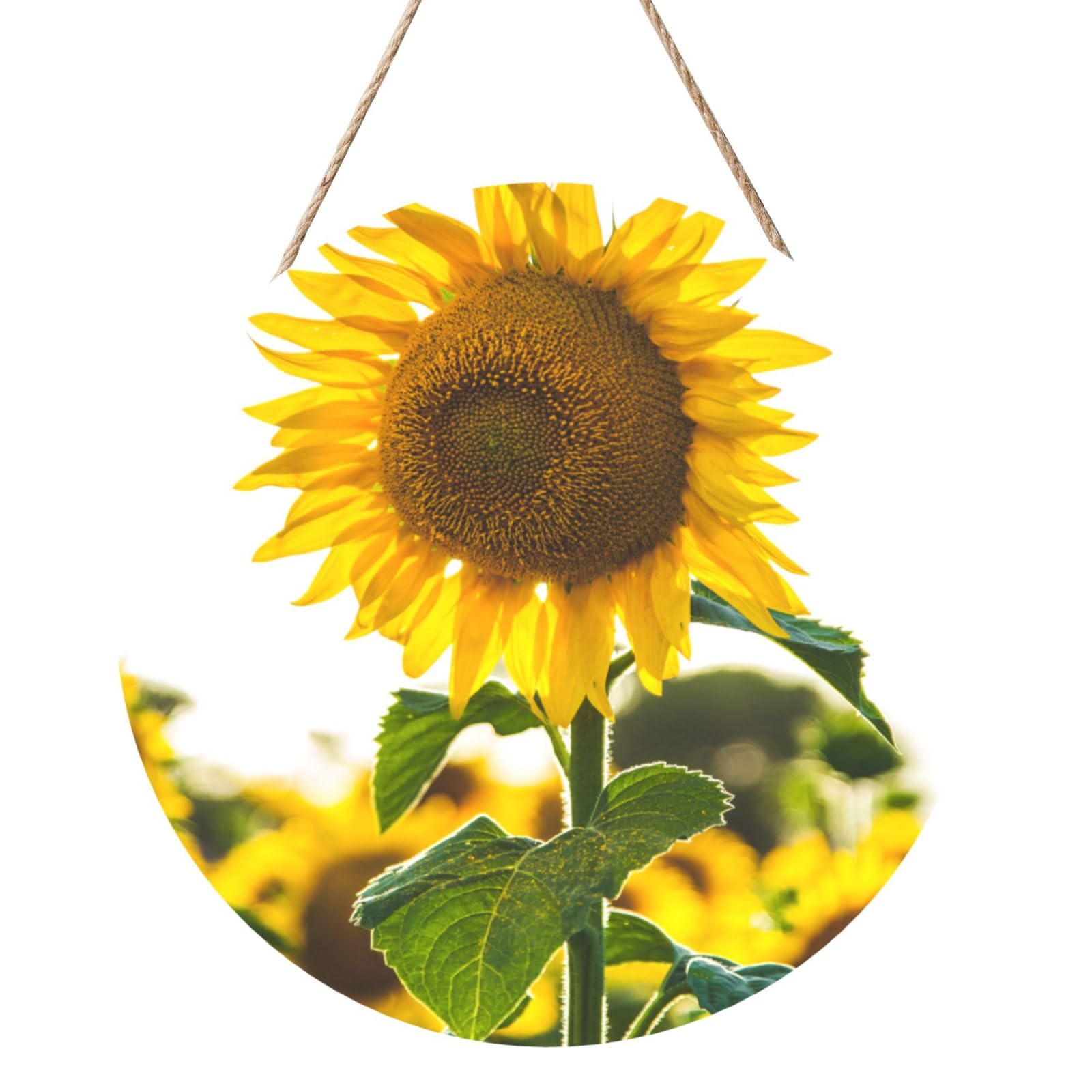 Sunflower, Round Wood Panel Painting 12 in, Wall Hanging Painting For Home
