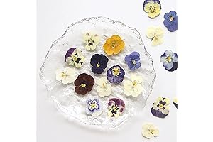 Vibrant Dried Violet Flowers: Culinary and Craft Essential