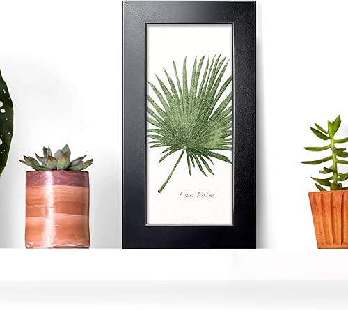 Vista 650 de LaVie Home - Portarretratos de 18 x 24 pulgadas, fotos de 16 x 20 pulgadas con paspartú, de 18 x 24 pulgadas sin paspartú, plexiglás pulido, Negro