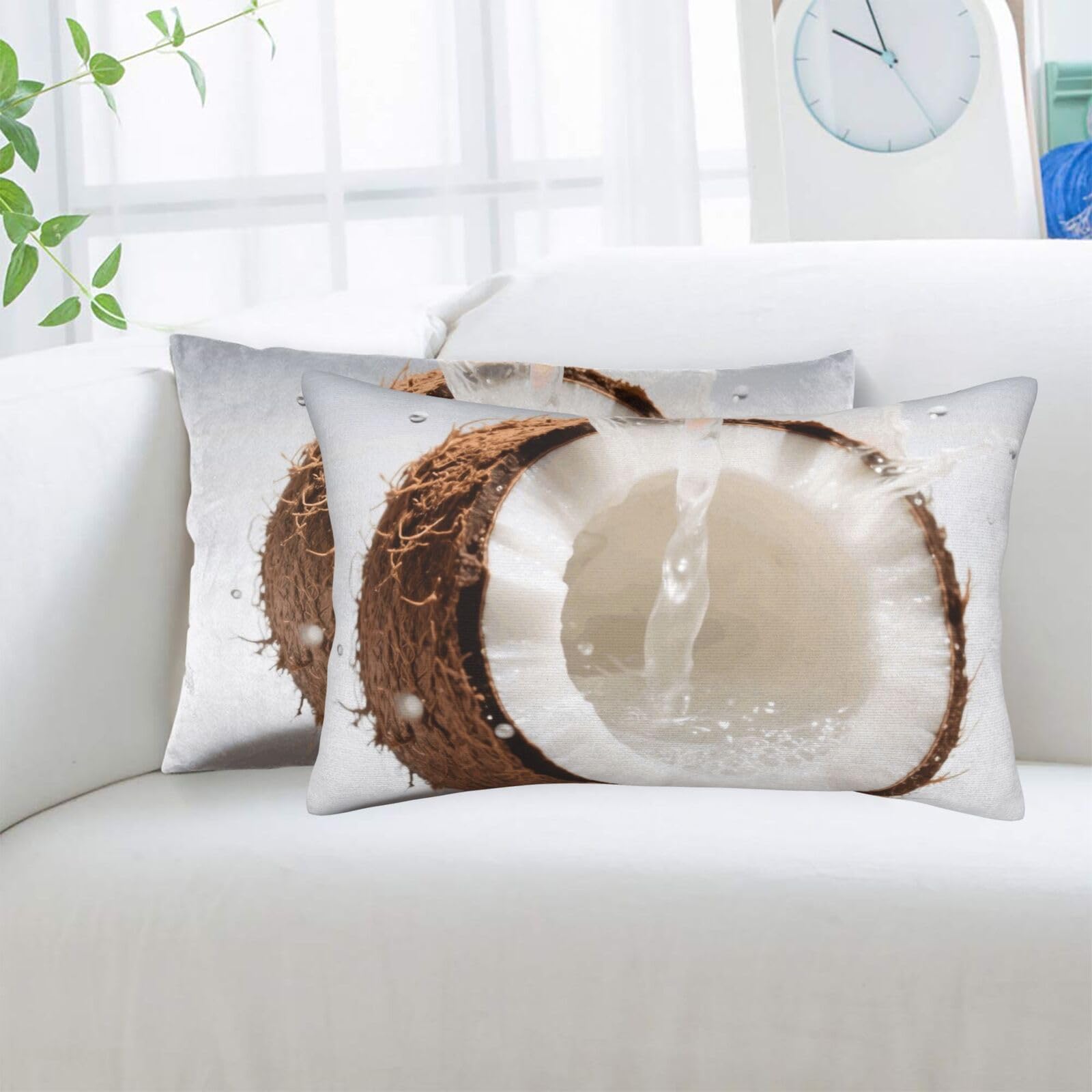 2 Pack Standard Pillowcases Sets, Ultra Soft Comfort Microfiber Plush Pillow Cases Coconut Decorative Throw Pillow Cover with Hidden Zipper for Bedroom, Sofa, Couch,16"X24"