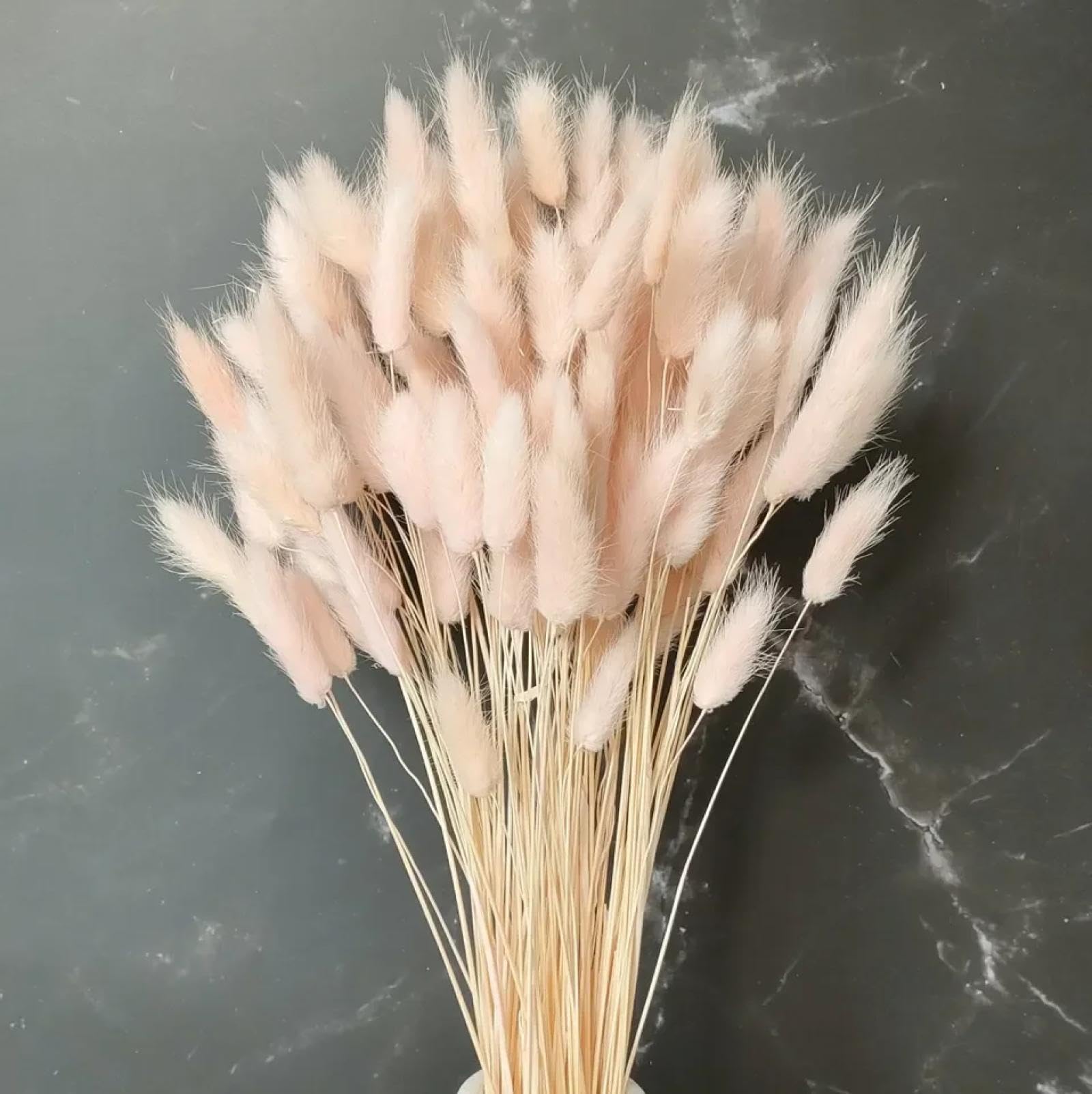 Flores secas de cola de conejo,100 ramos de conejo naturales secos de 45 cm, hierba de cola de conejito, flores secas, hierba de pampa para fiesta, boda bohemia, decoración del hogar, estilo 6
