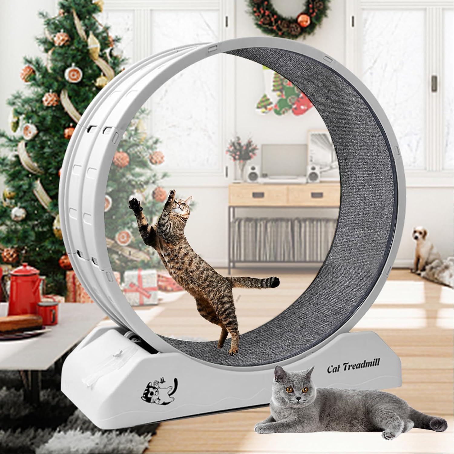 Rhyhorn Cat Running Wheel, 31.5 Cat Exercise Wheel, Easy Installation Quiet Wheel Design, Cat Wheels for Indoor Cats,Cat Treadmill for Cat Fitness,Suitable for Most Cats (B0D5D9Q5FY) Amazon Price History, Amazon Price Tracker