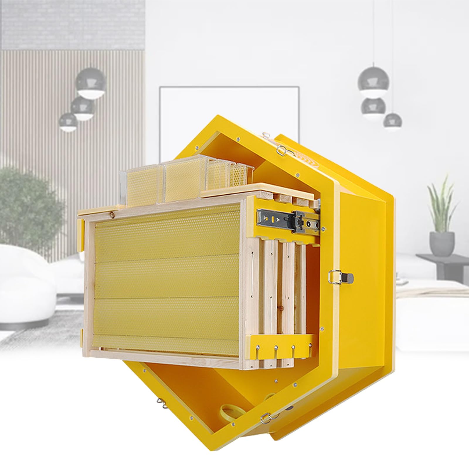 Alveare, pannello trasparente, montaggio a parete, in PVC su 6 lati, per appassionati di apicoltura e allevamento di api