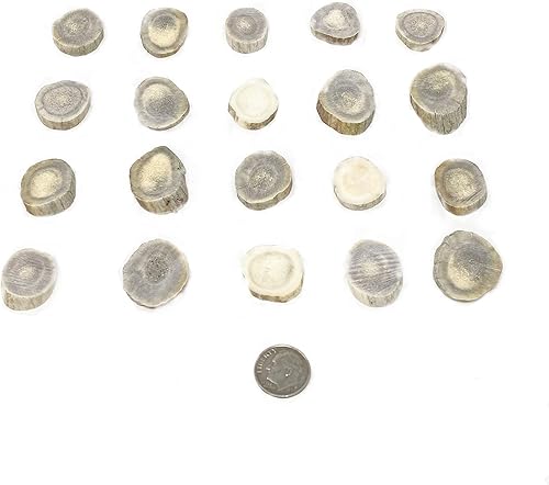 Miniatura 4 de Cuernasrebanadas de cuernos de ciervo Dakota natural (manualidades, fabricación de joyas, suministros de reborde) (pequeño)