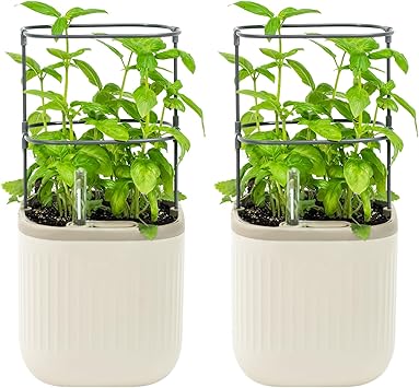 Mini Self-Watering Garden Planter with Trellis, Herbs or Vegetables, Pack of 2