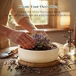 ZOUTOG Succulent Pots,6 Inch Succulent Planters with Drainage and Tray,White Ceramic Planters for Indoor Plants,Round Flower Plant Pots,Pack of 2