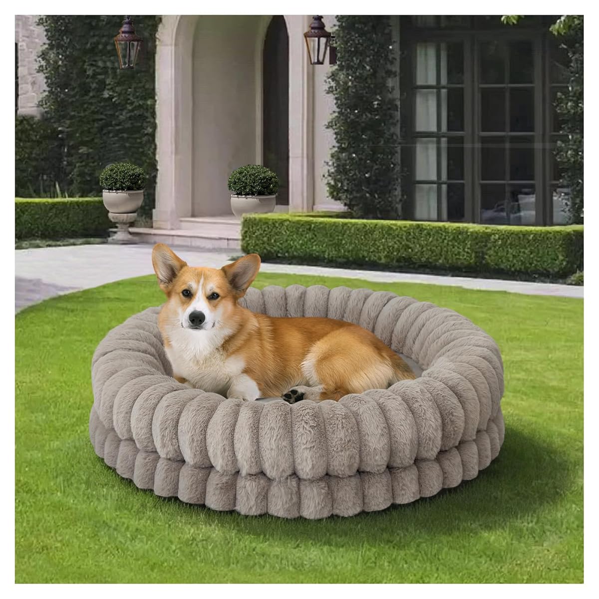Price error Jumbo Dog Bed, Orthopedic Dog Bed with Thick Gel Memory Foam Support, Durable Flannel Fabric with Removable Cover & Waterproof Liner Dog Beds