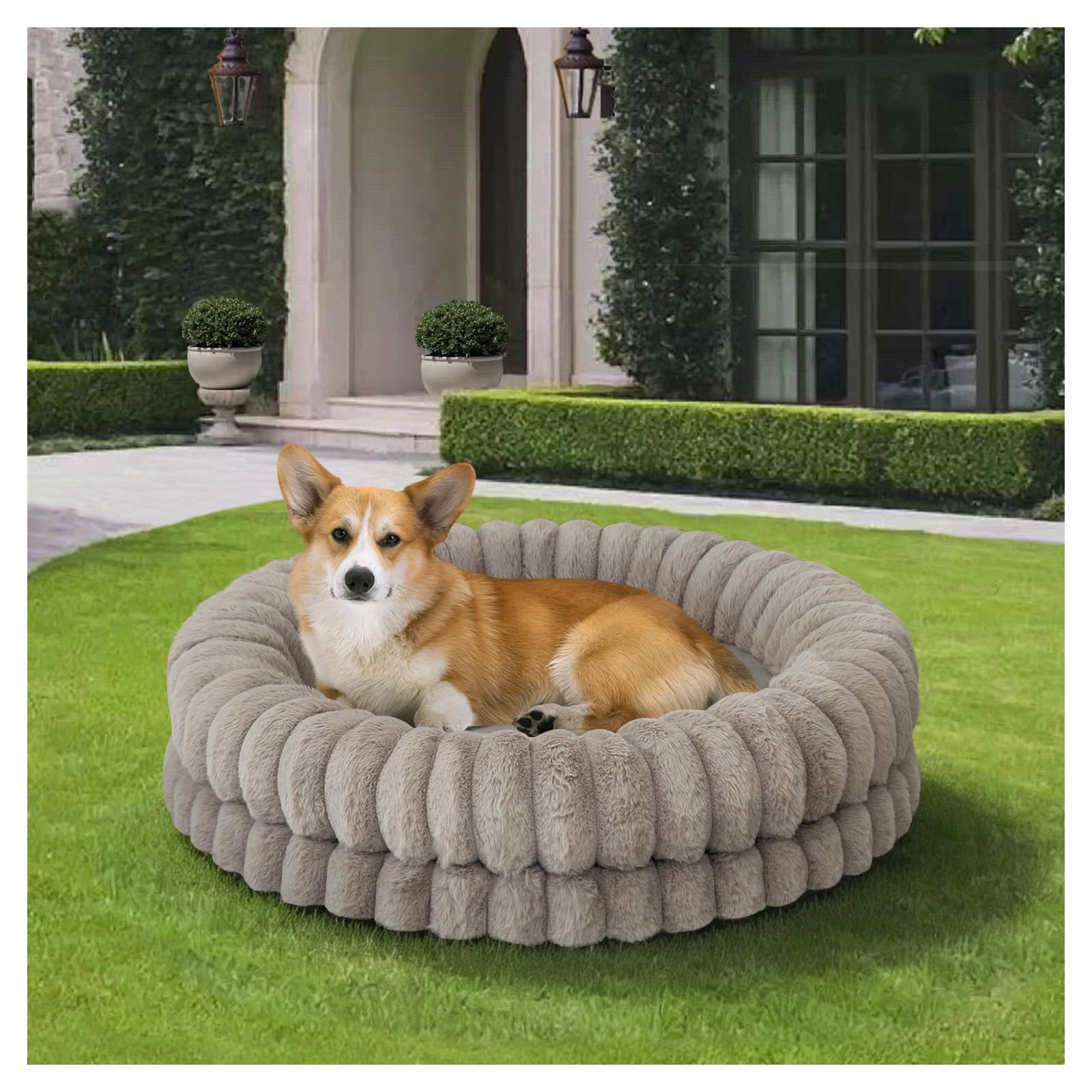 BALANCE Luxury Donut Dog Bed