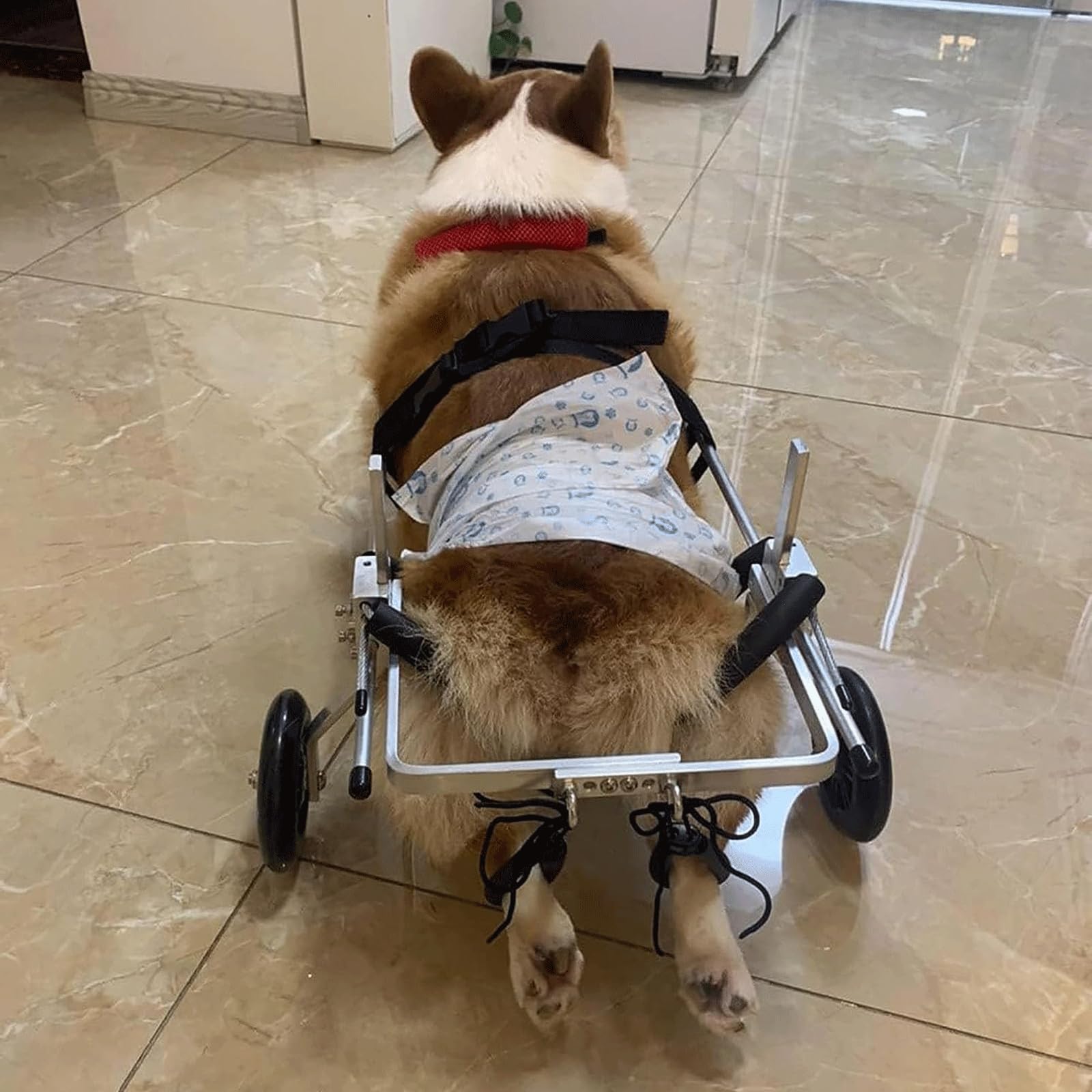 Amazon.co.jp: 調節可能なペット用車椅子 アルミ犬用車椅子 後ろ足用