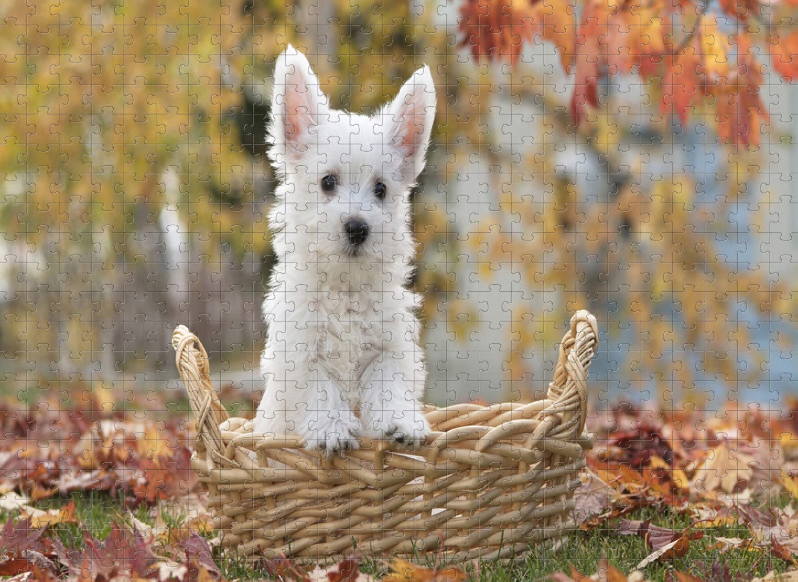 1500 elementów puzzle drewniany jesienny kosz na kwiaty pies rzemiosło prezent rodzina klasyczne puzzle