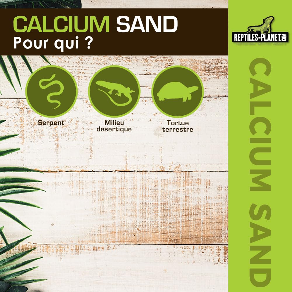 Reptiles-Planet Kalzium Sand, 5kg, Kalahari Rot