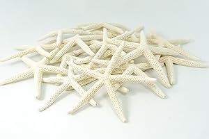Coastal Vibes: 18-Piece Starfish Decor for Home Enhancement