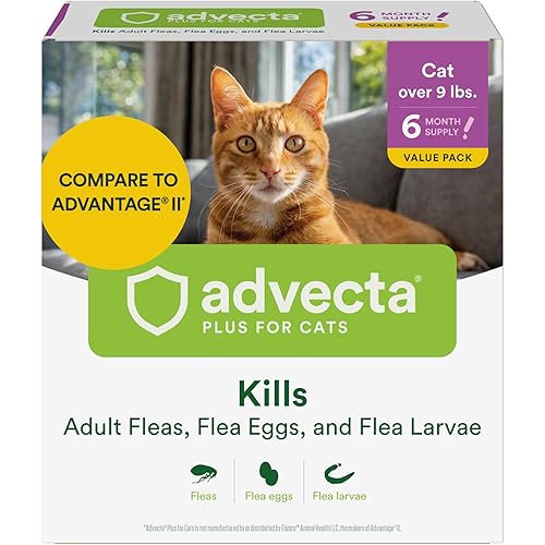 Advecta Plus Flea Prevention for Cats, Cat and Kitten Treatment & Control, Small and Large, Fast Acting Waterproof Topical Drops, 6 Month Supply