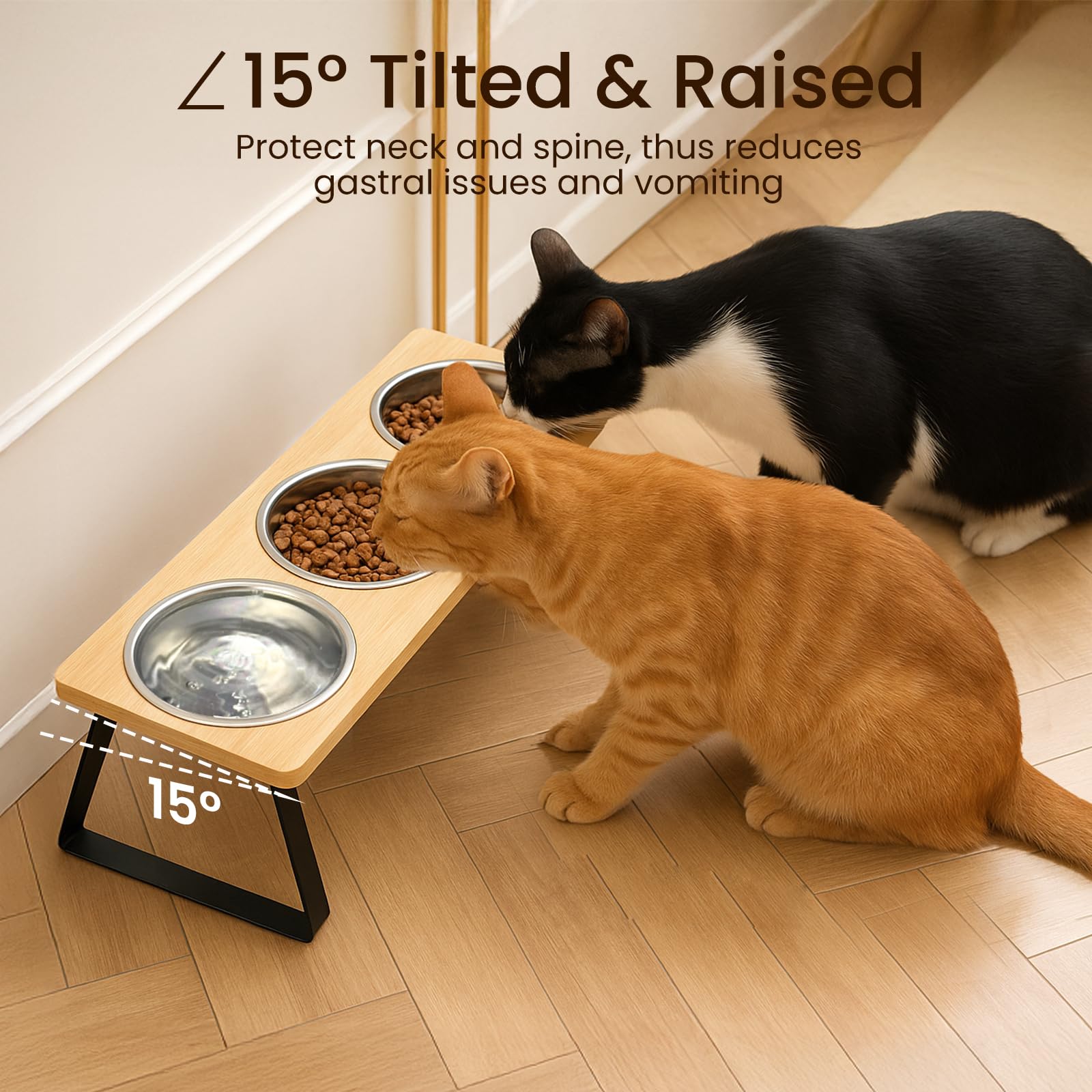 Cuencos elevados ajustables para gatos con soporte, estación de alimentación inclinada de acero inoxidable para gatos y perros pequeños, comedero elevado para mascotas con diseño antideslizante y 3