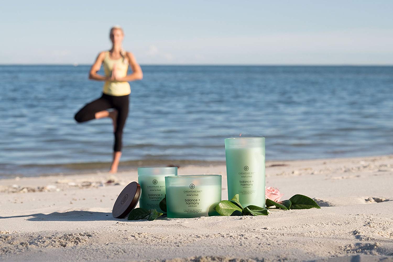 Chesapeake Bay Candle Vela aromática de menta y cuerpo, equilibrio + armonía (perla de lirio de agua), tamaño mediano, color azul