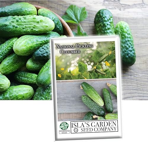 Semillas nacionales de pepino encurtido para plantar, más de 75 semillas tradicionales por paquete, semillas de jardín de Isla (semillas de jardín