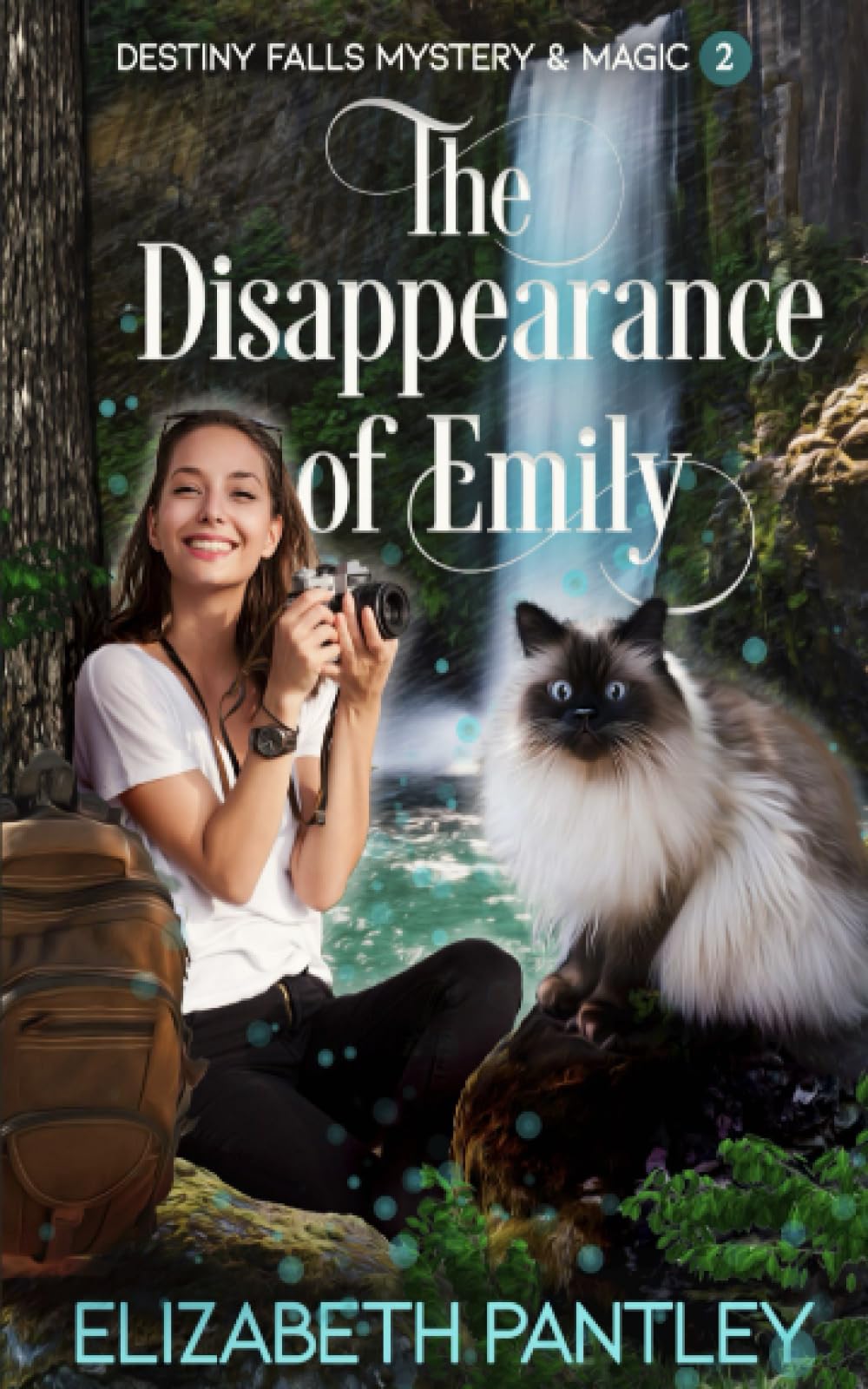 The Disappearance of Emily: Destiny Falls Mystery & Magic Series Book 2