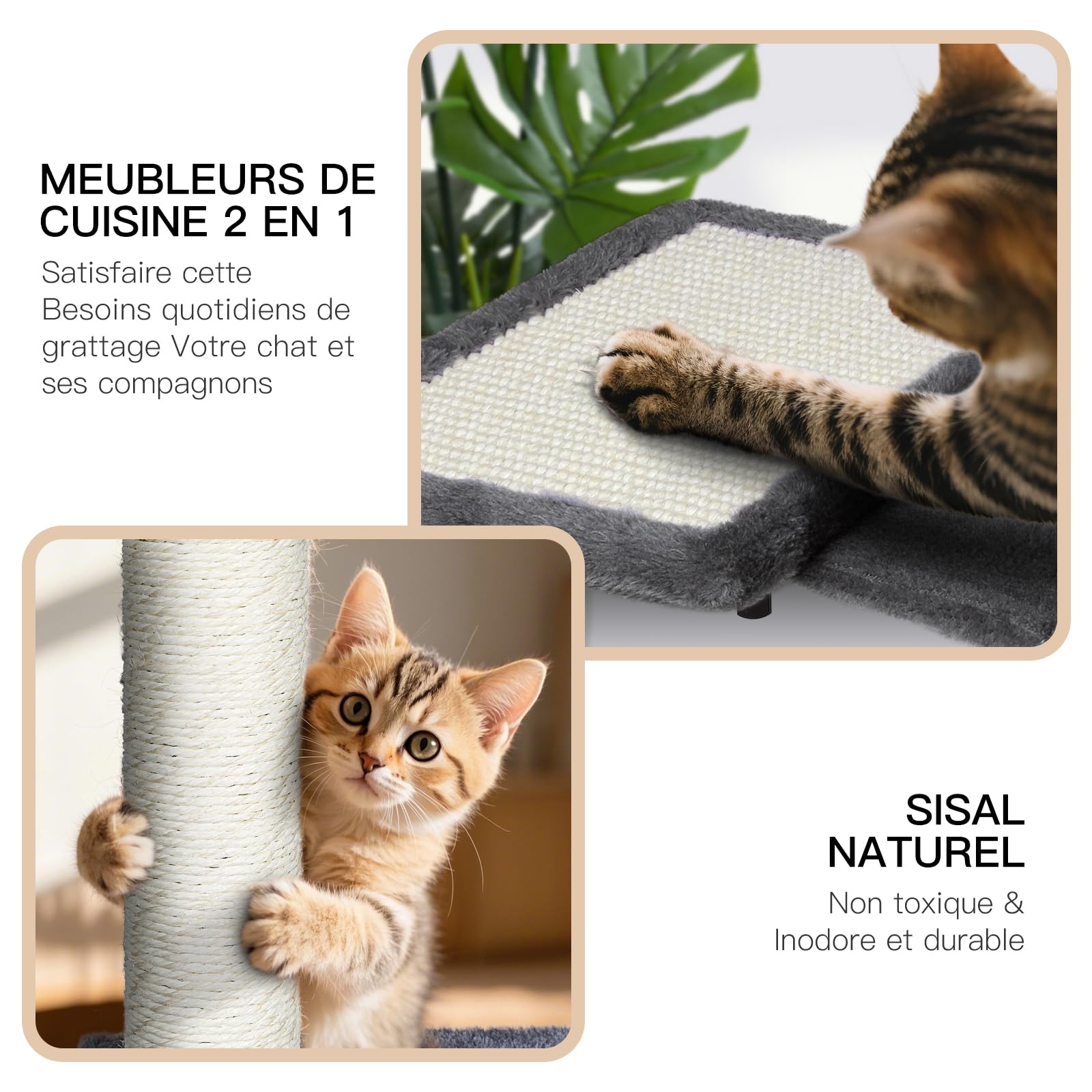 Zvonema Mensole da parete per gatti, set da arrampicata per gatti, confortevoli pareti in peluche con tiragraffi, albero per gatti da parete stabile per interni grandi e piccoli fino a 10 kg, grigio