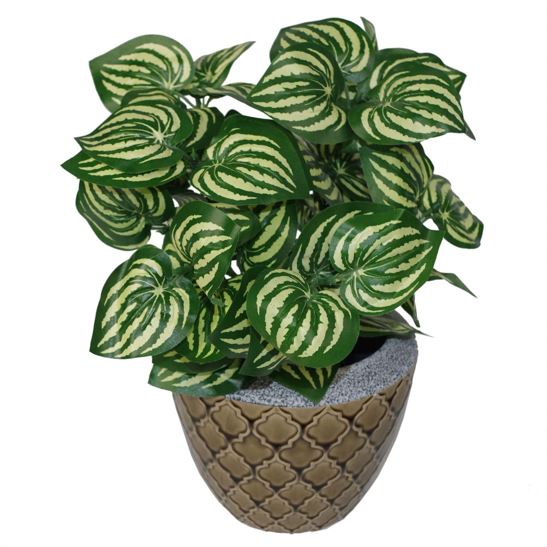 Artificial Plant Realistic Black 45cm  Premium Indoor Home Decor Office UK