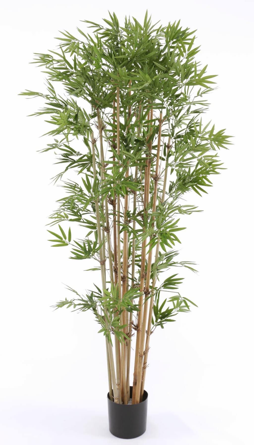 Bambu pianta a fiori e piante finte per la decorazione della casa