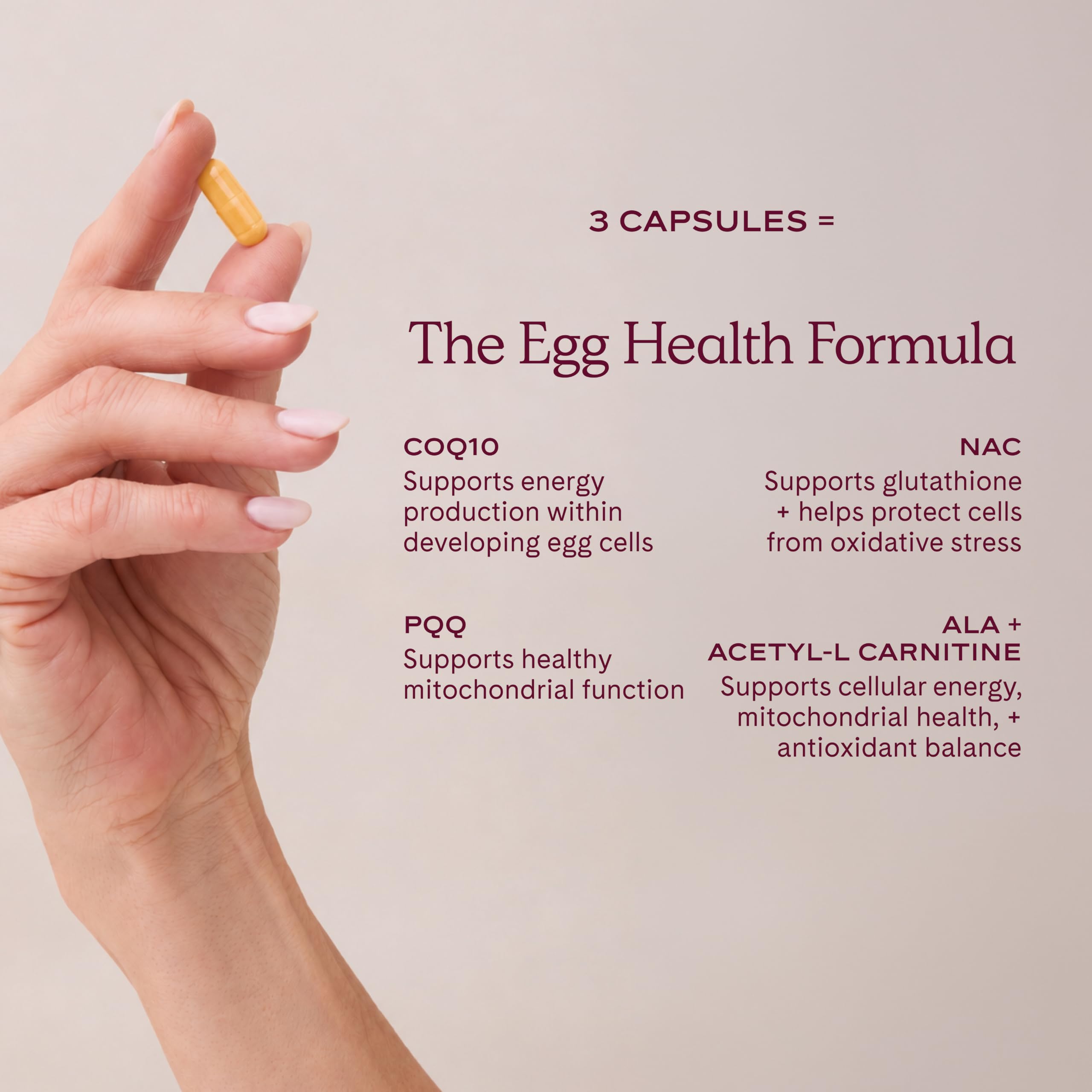 WeNatal Egg Quality+ Supplement – CoQ10, NAC, PQQ, Folate, 90 Capsules